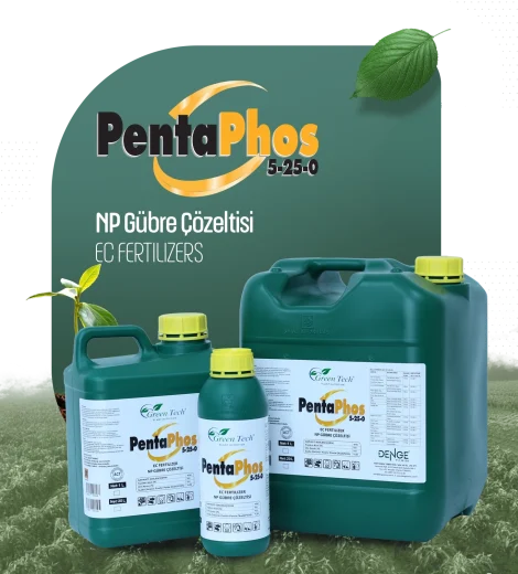 Penta Phos (5-25-0)