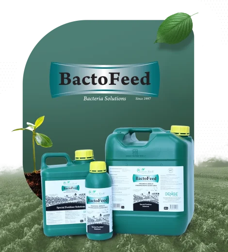 BactoFeed