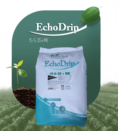 Echo Drip
