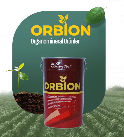 Orbion
